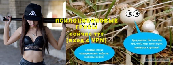 кокс Арсеньев