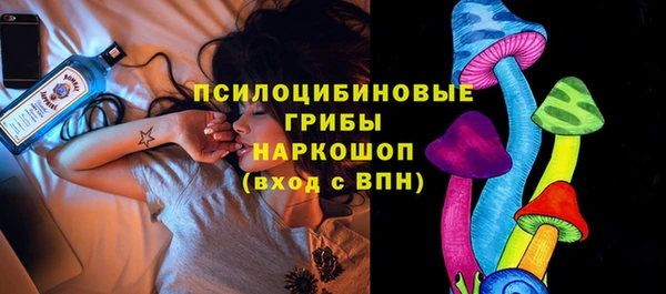 кокс Арсеньев