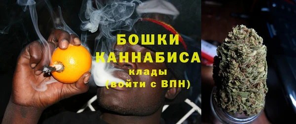 кокс Арсеньев