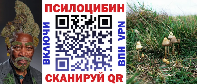 Псилоцибиновые грибы Psilocybine cubensis  Купить закладки  Камень-на-Оби 